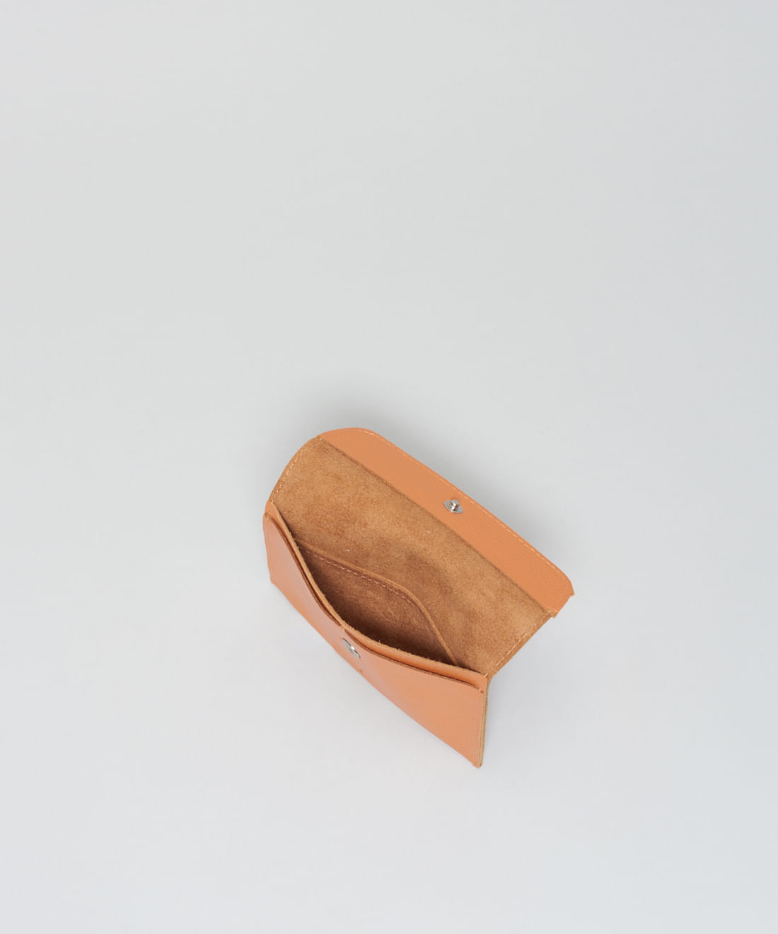 Porta Passaporte - Cenoura - Imagem 3