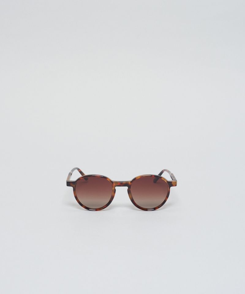 Oculos Bella - Tartaruga u - tartaruga